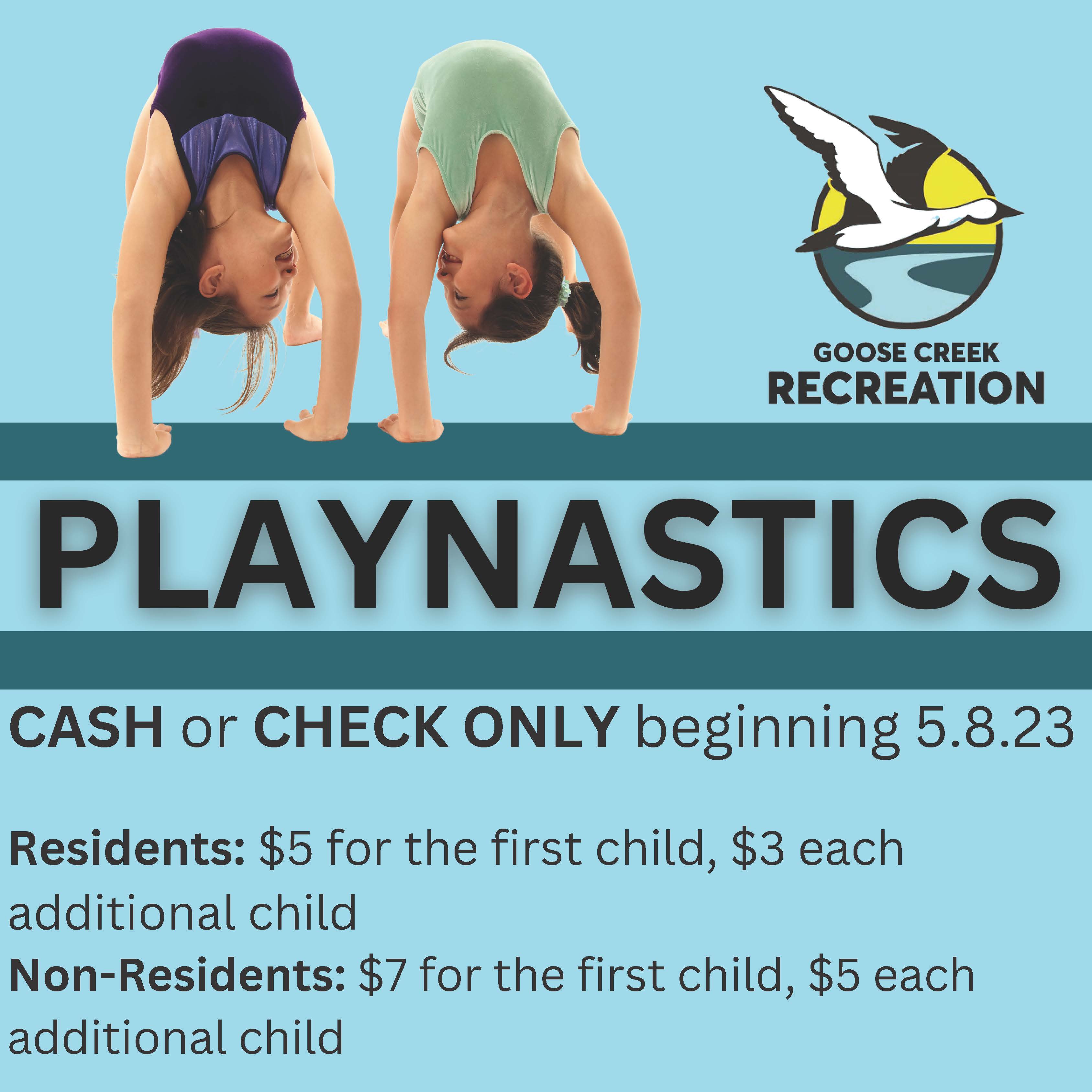 Playnastics