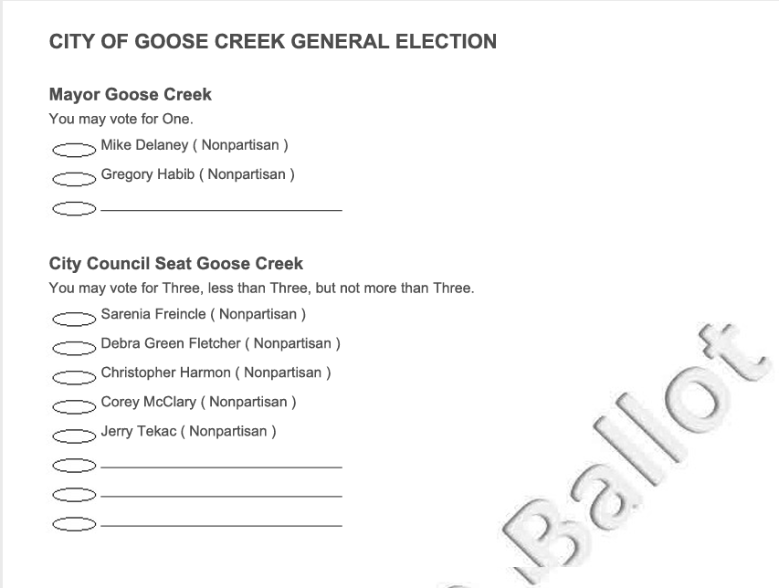 sample ballot