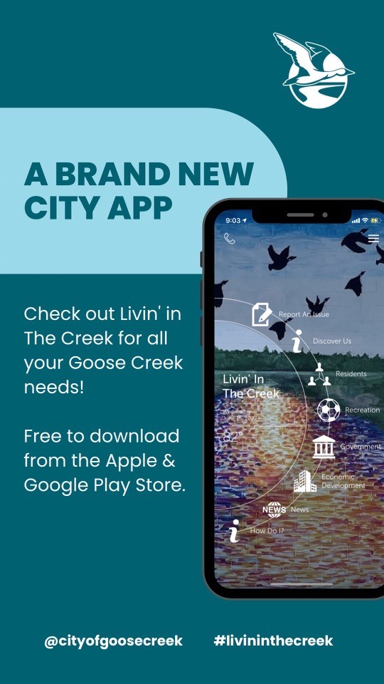 GOOSE.IO on the App Store
