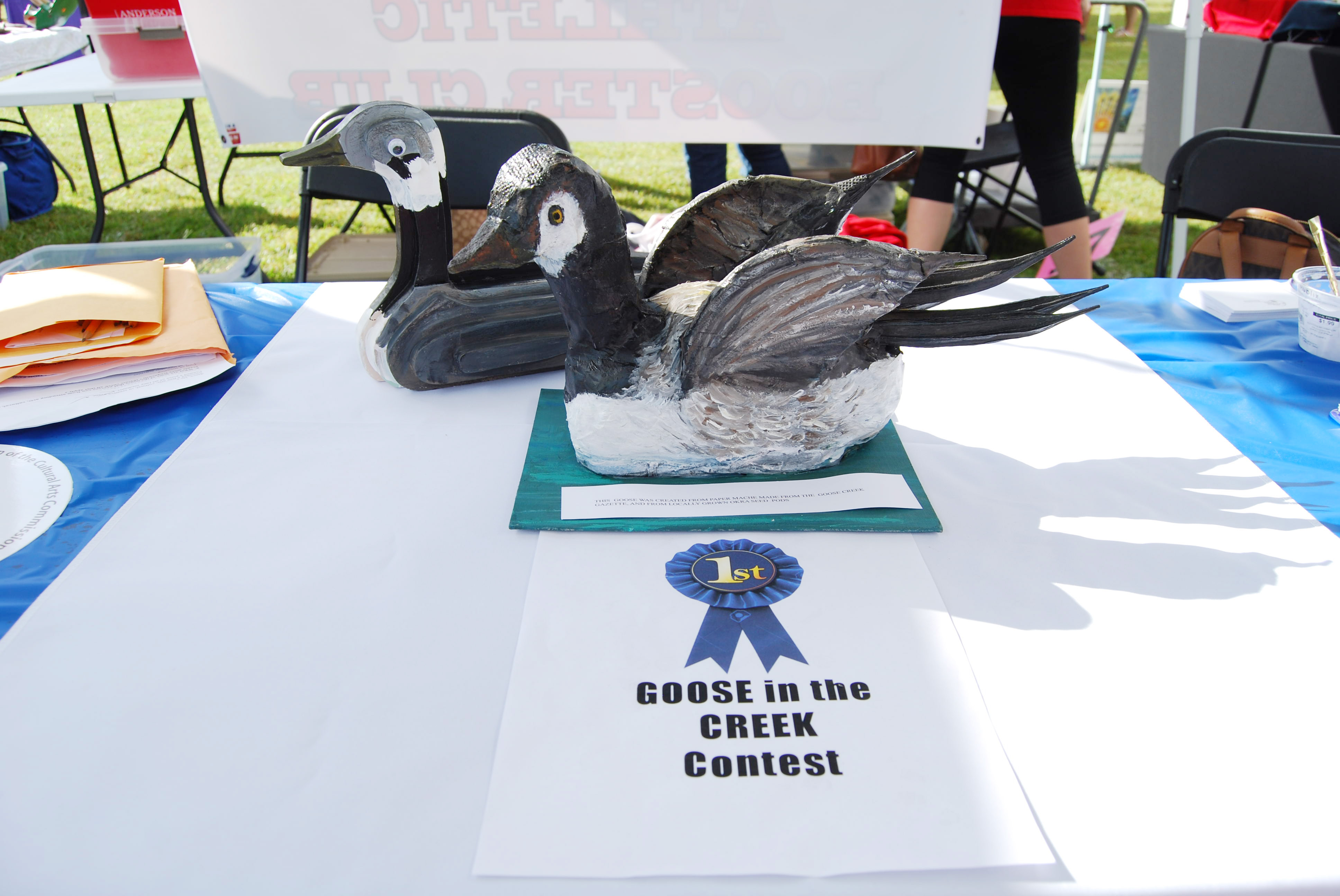 Goose in the Creek Contest Winner