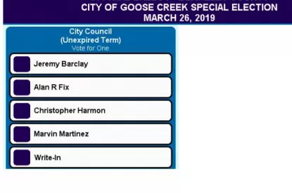 special election ballot