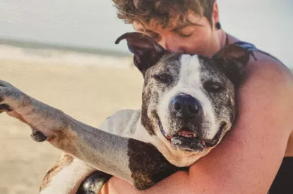 Picture of a dog on display at Community Center